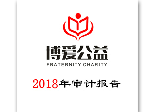 2018年审计报告