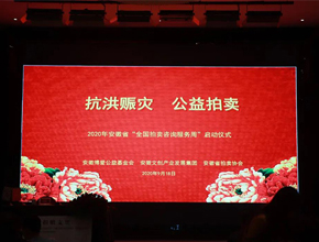 洪水无情 善举暖心|安徽博爱公益基金会抗洪赈灾公益拍卖会 在六安举行