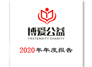 2020年年度报告