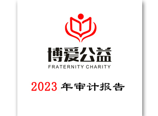 2023年审计报告